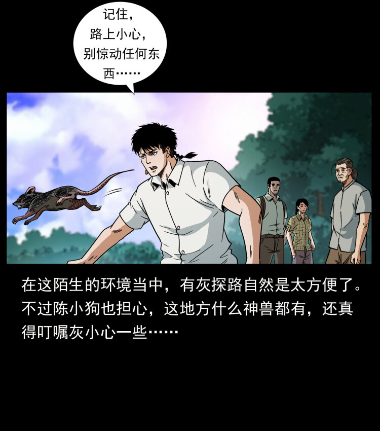 442 羽人现身17