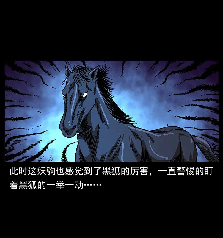 158 妖驹的选择39