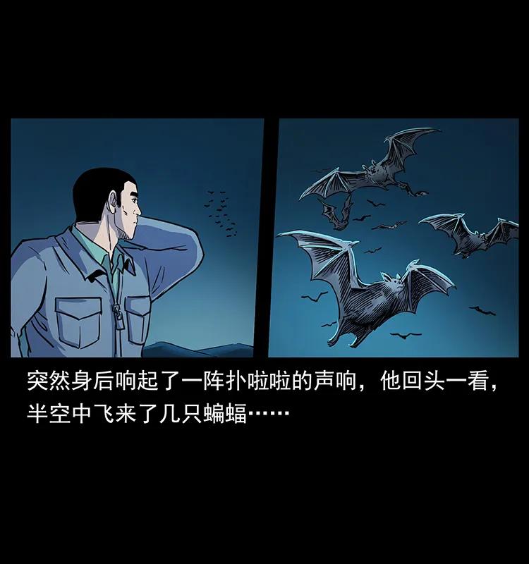 262 藏地神族35