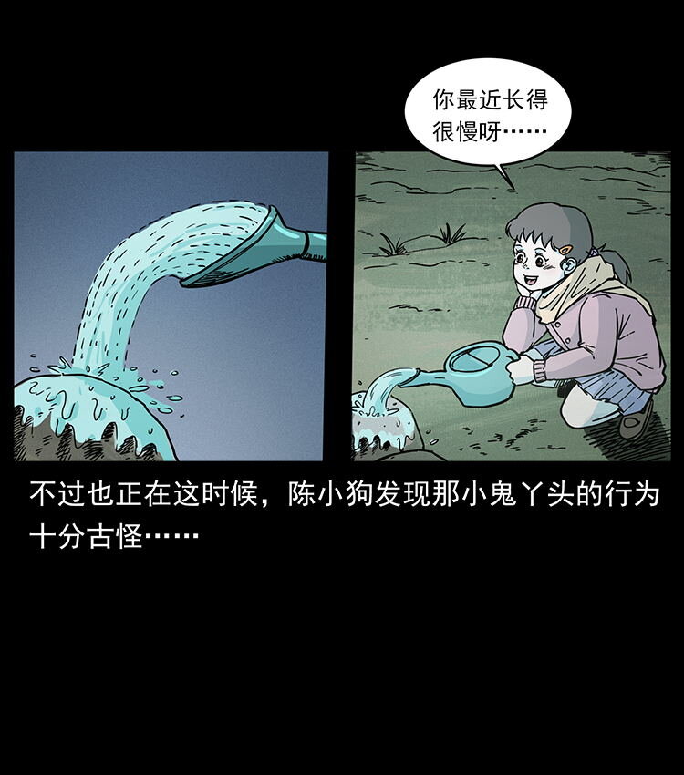481 树74