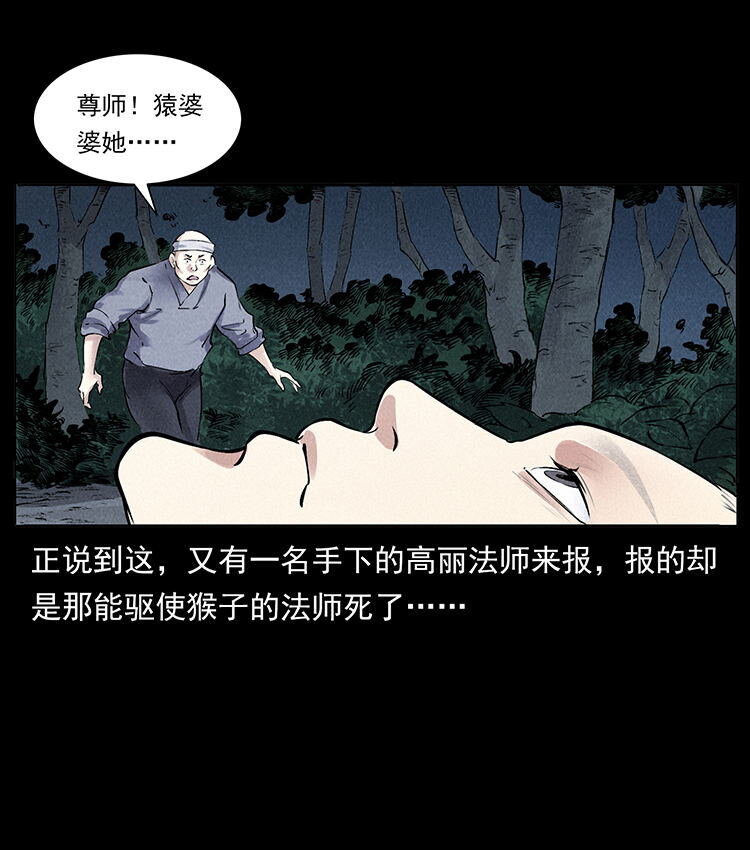 外传 洛生传4 高丽妖人5