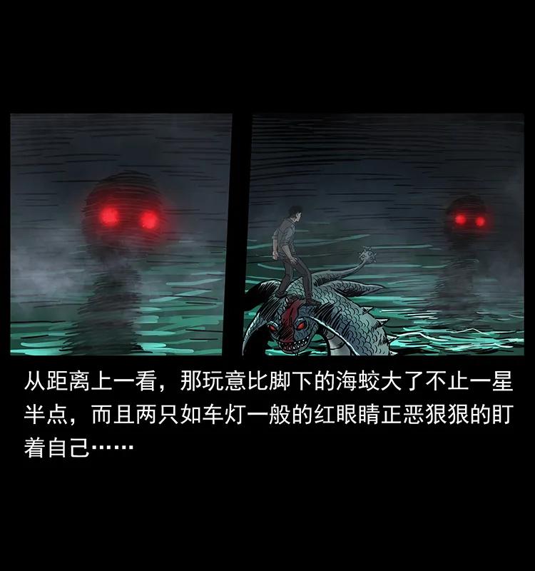 242 陈小狗失算了5