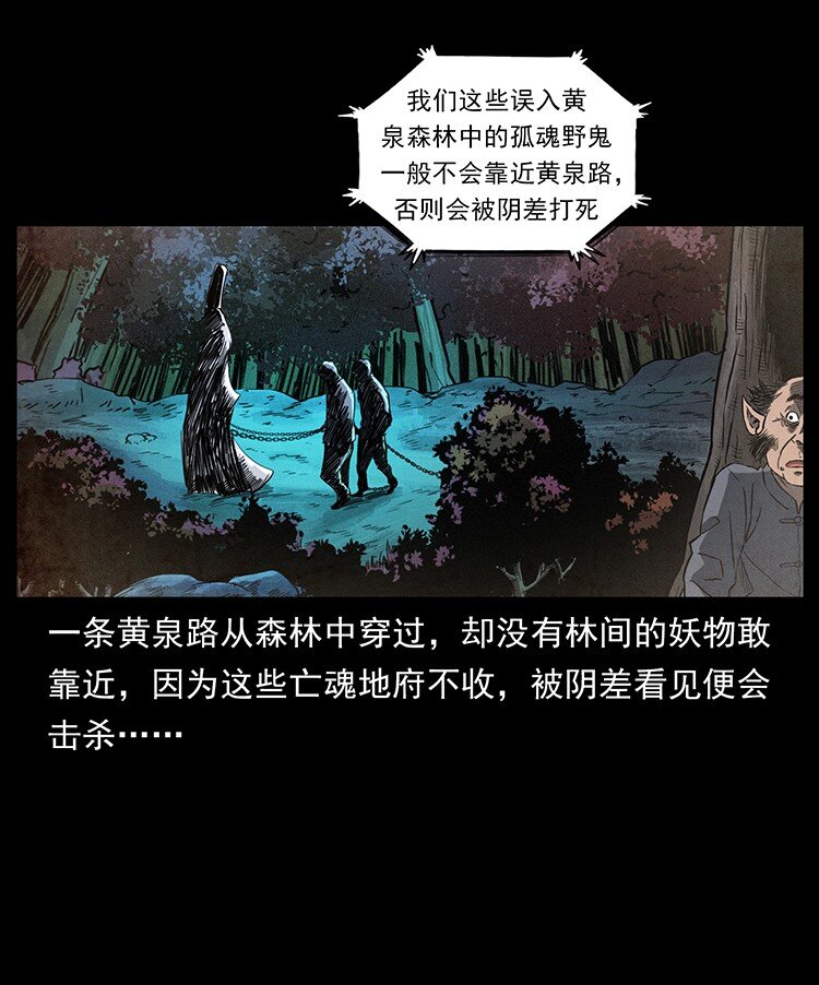 490 黑暗森林72