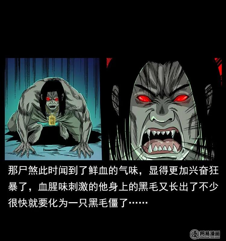 118 天宝仙牌26