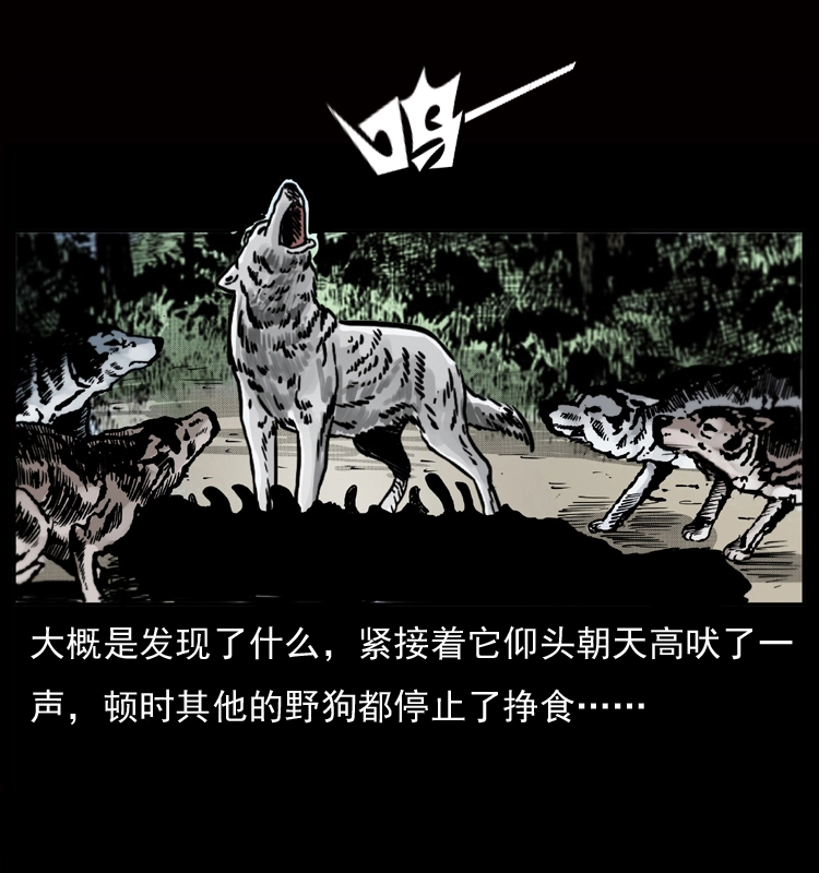 050 刨尸狗传奇36