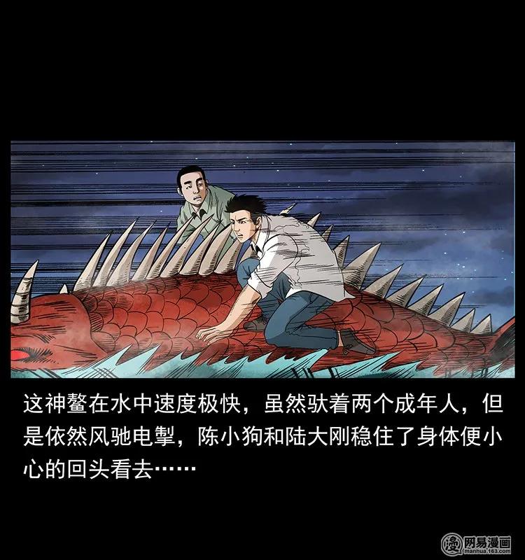 129 通天鼋79