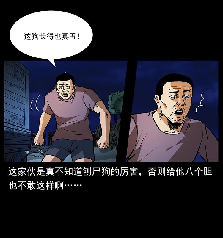 170 布局15