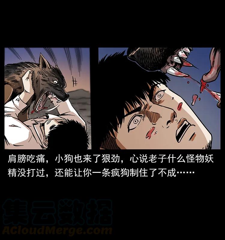 258 身后的危机44