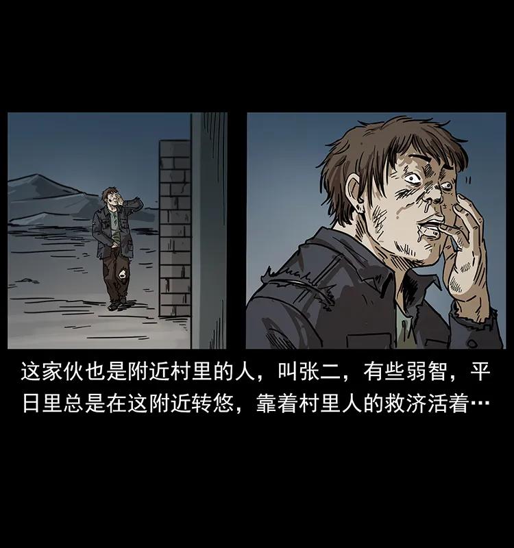 230 生桩66