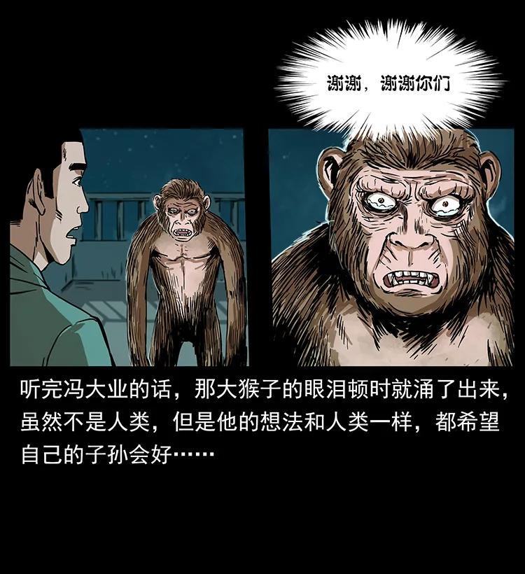 229 东海龙骨23