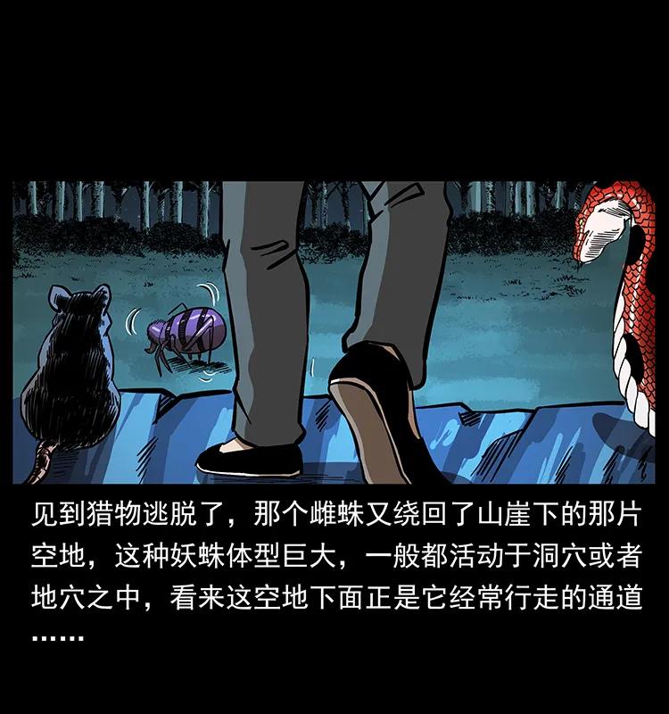 163 陈老狗下南疆21
