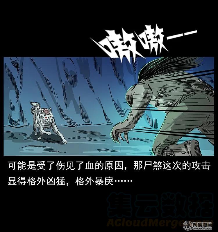 118 天宝仙牌48