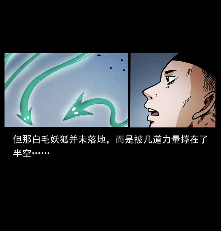 486 人与狐31