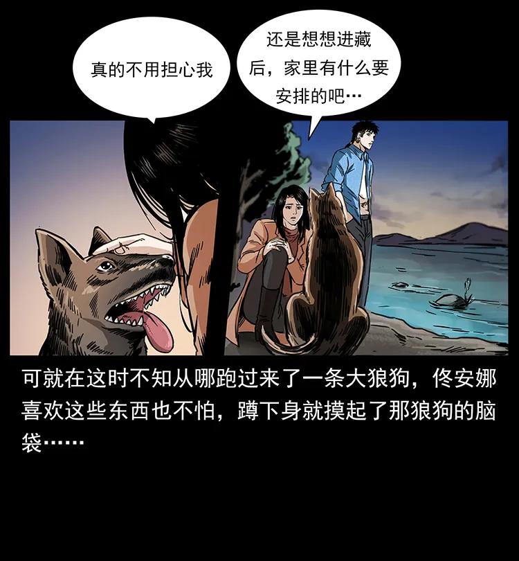 258 身后的危机34