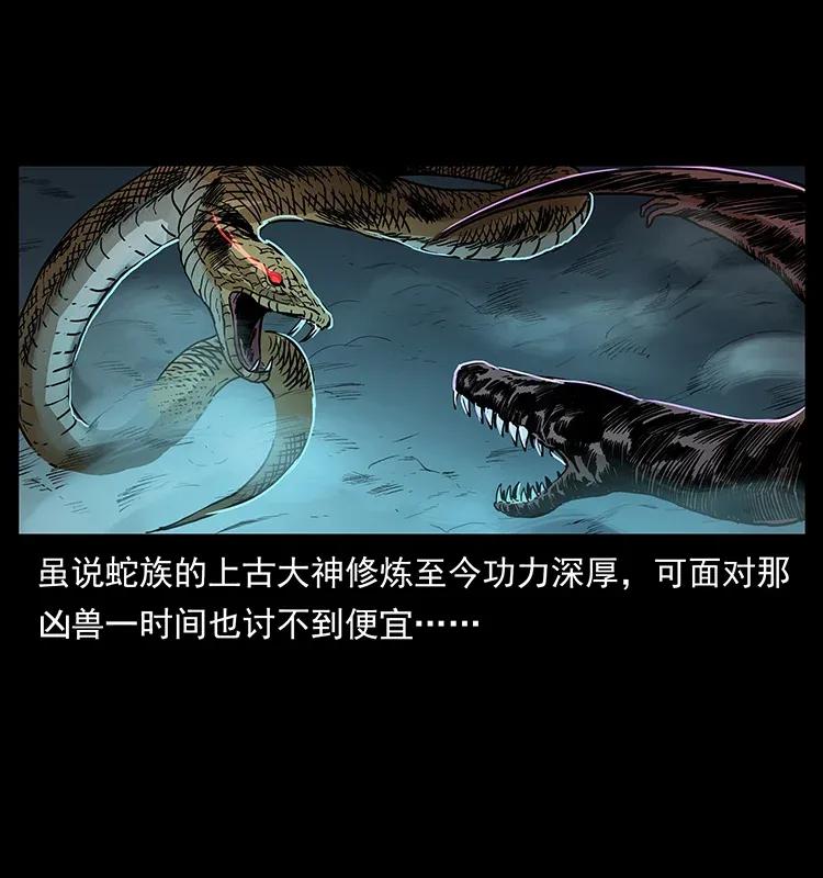 293 赤龙回归3