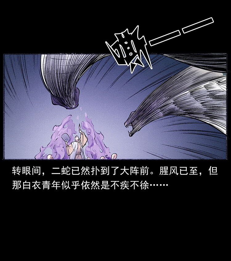 外传 洛生传7 黑白双蛇76
