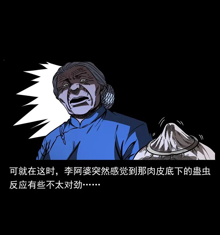 160 李老太太43