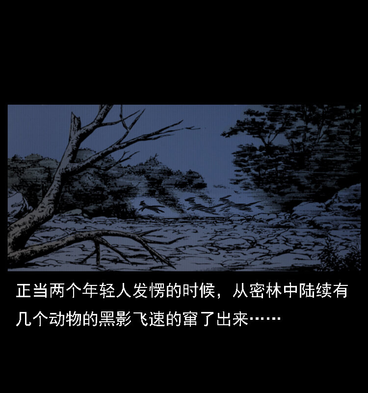 004 猫妖56