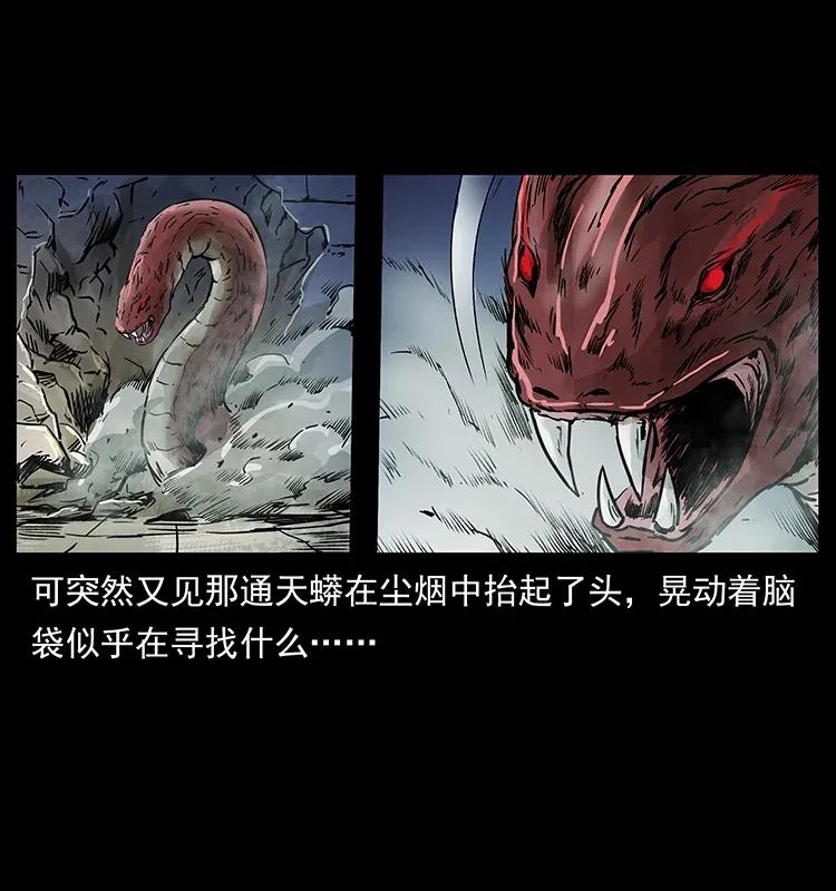 288 强者归队！51