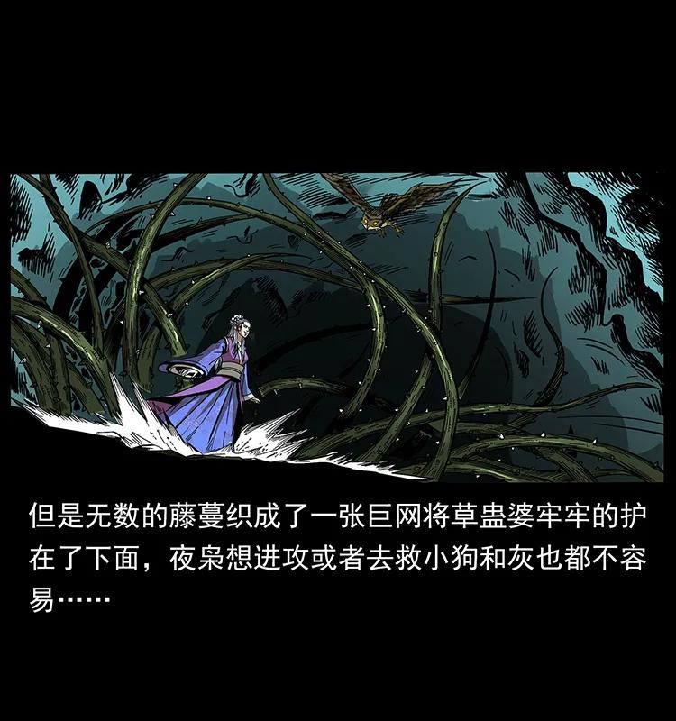 193 草蛊婆57