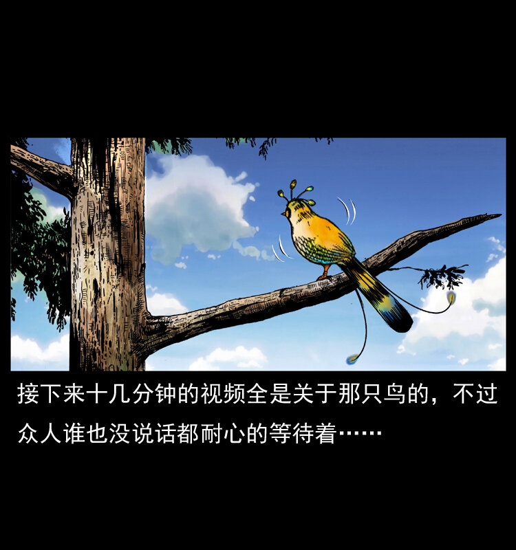 047 接龙骨33