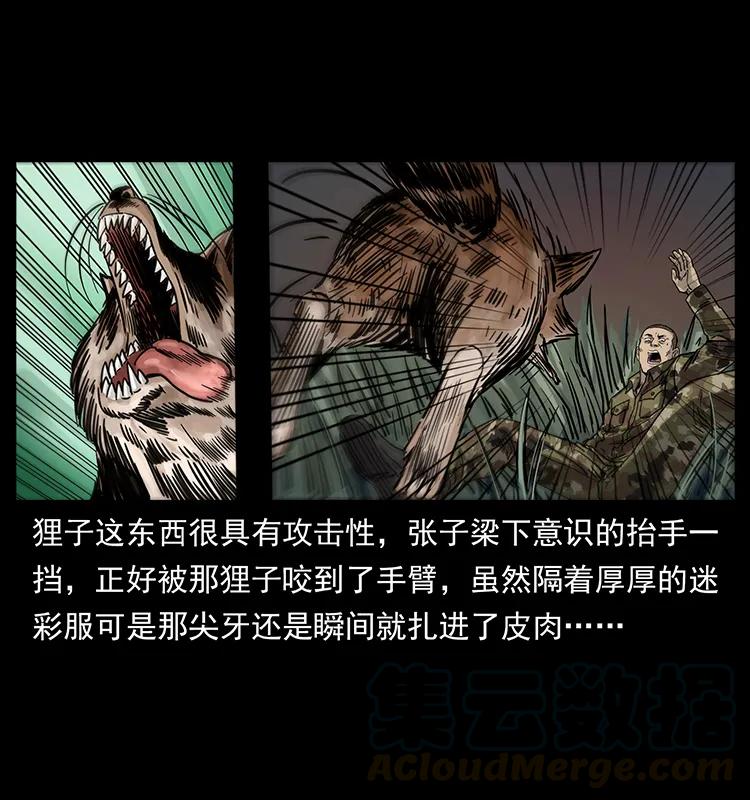 250 走失20
