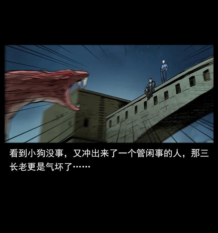 288 强者归队！62