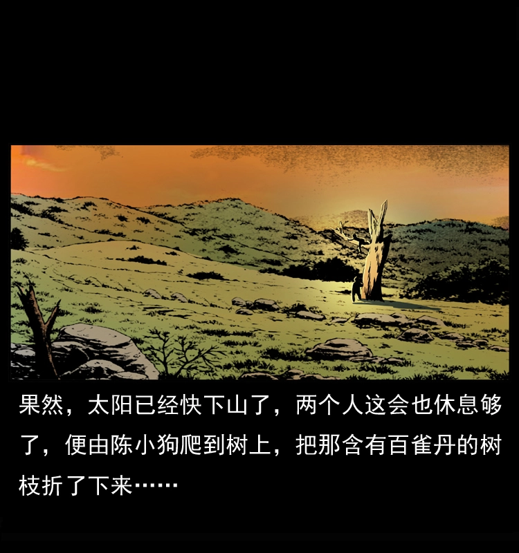 037 百雀丹（下）39