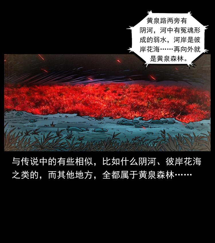 490 黑暗森林71