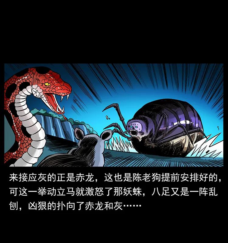 163 陈老狗下南疆13