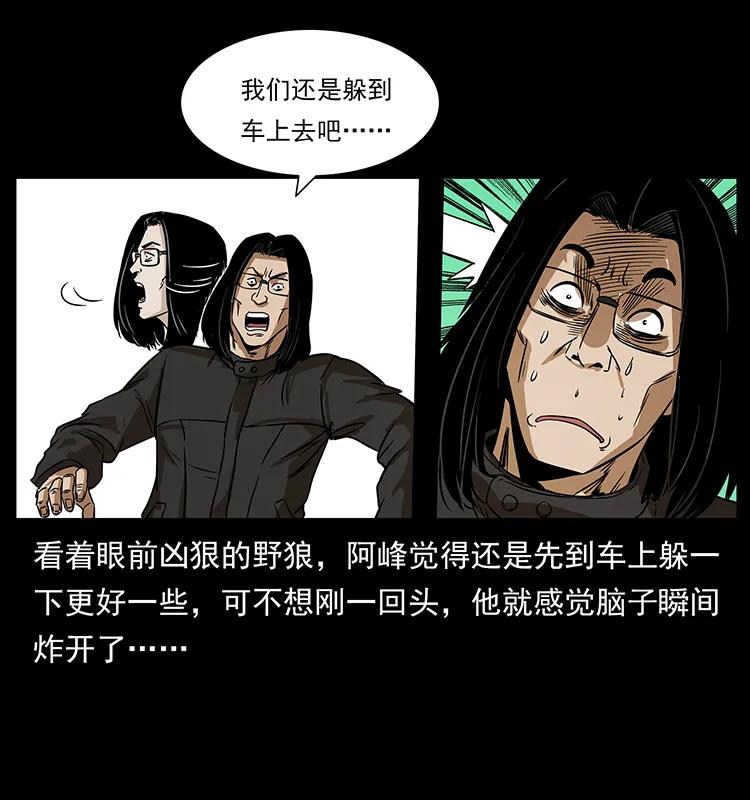 212 草原深处29