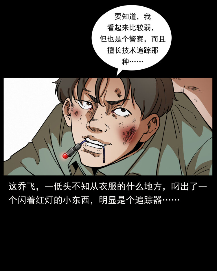426 南国，我来了！7
