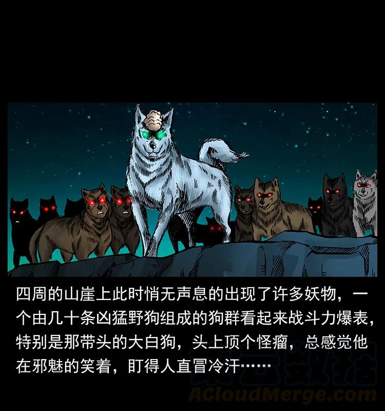 176 对峙祖龙顶84