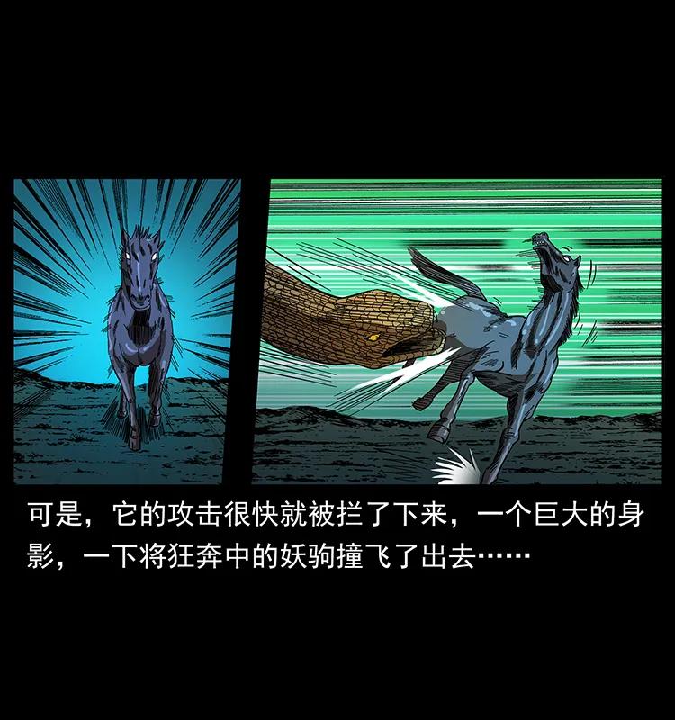 158 妖驹的选择45