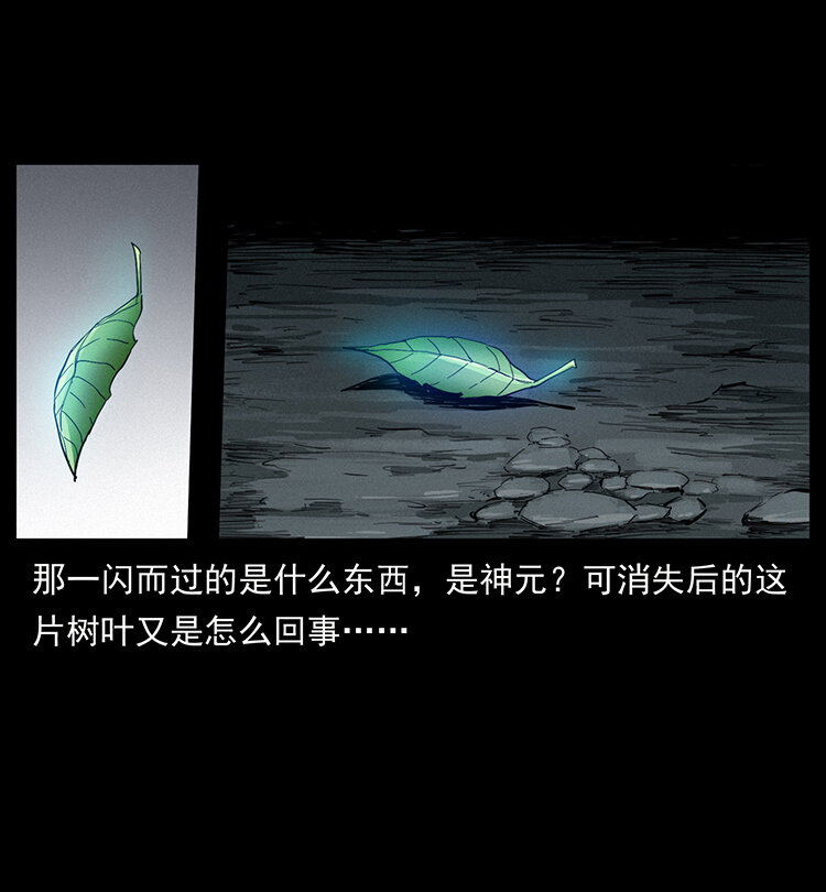 400 一花一世界，一叶一菩提77