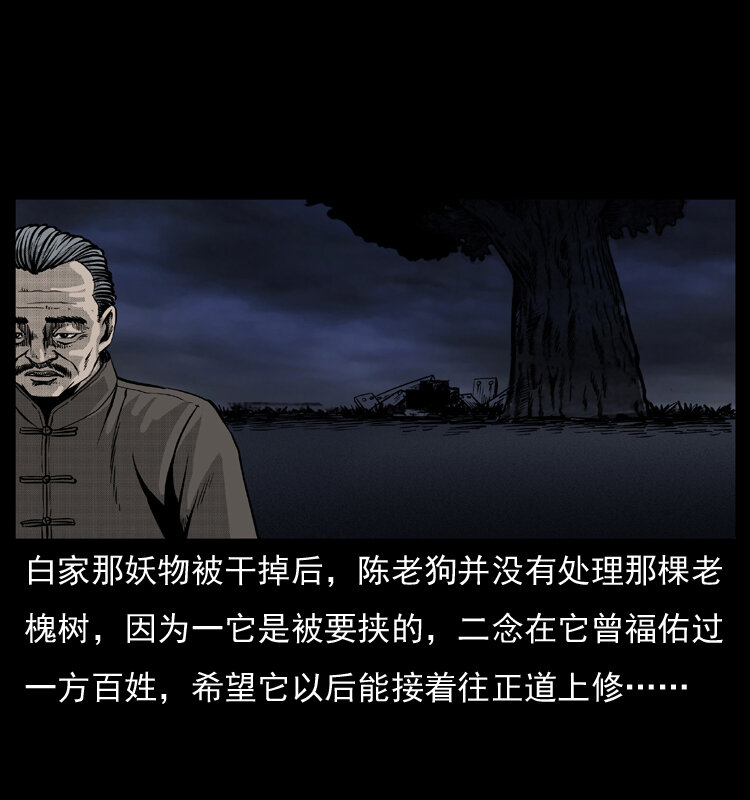 008 槐树下的小庙67