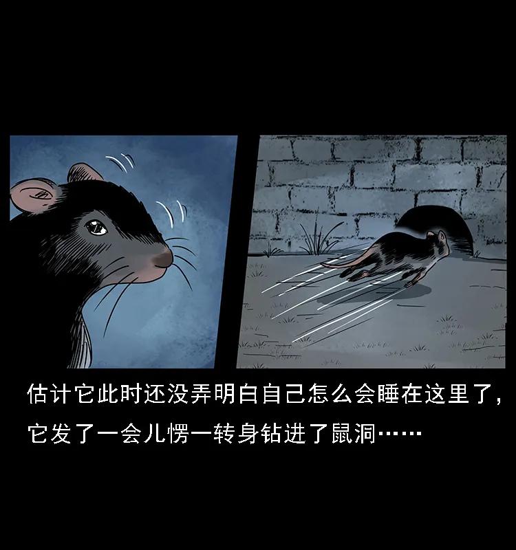 084 刨尸狗的妖化之路54