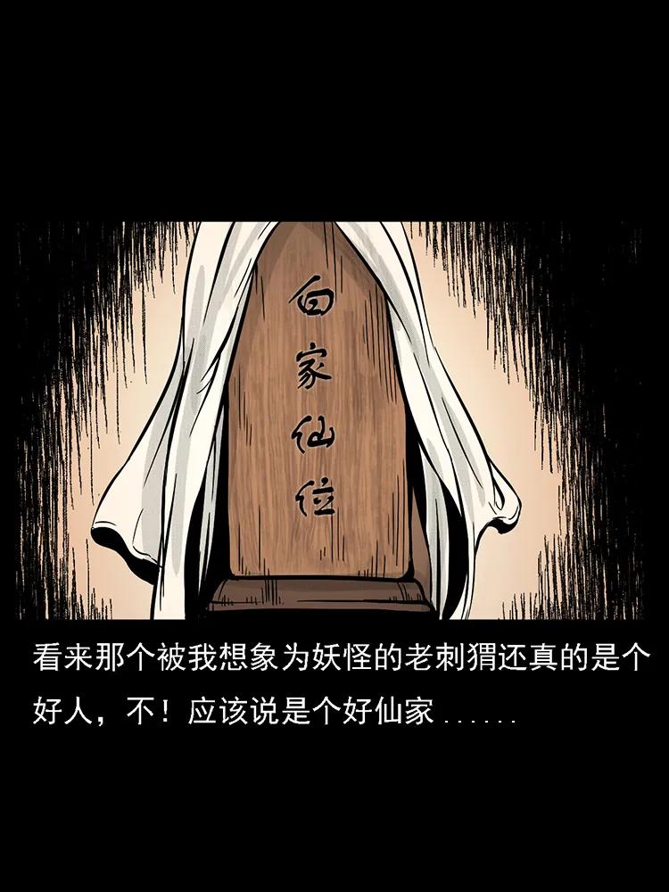 番外2 之保家白仙78
