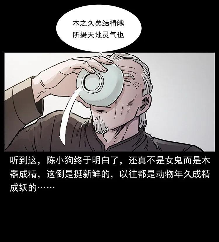 306 怨鬼？精怪？33