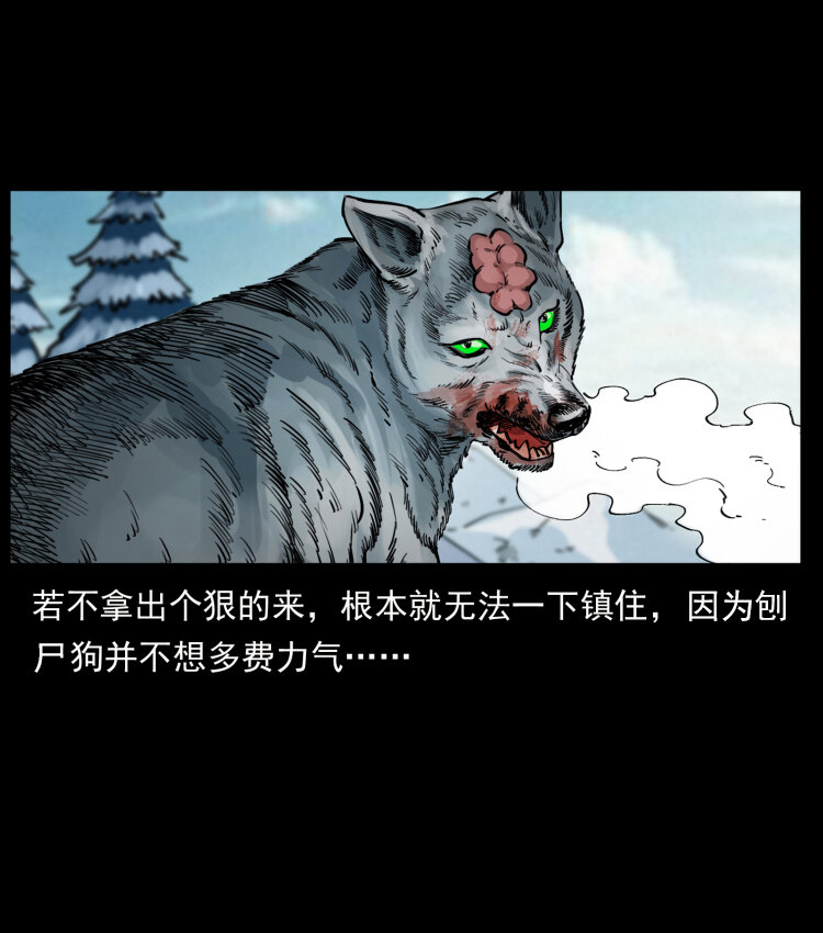 469 冻土的世界77