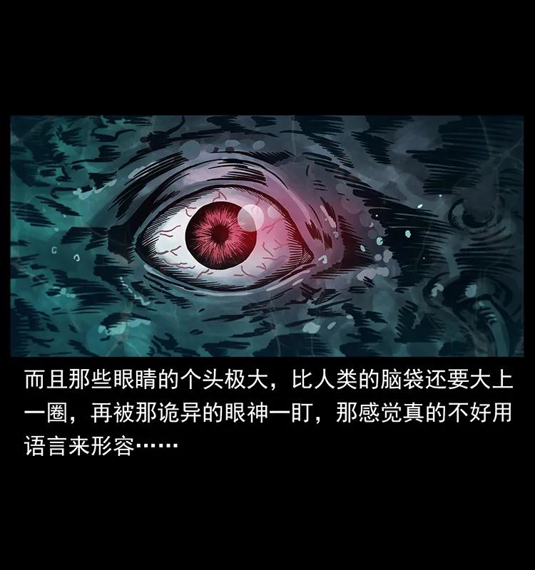 242 陈小狗失算了35
