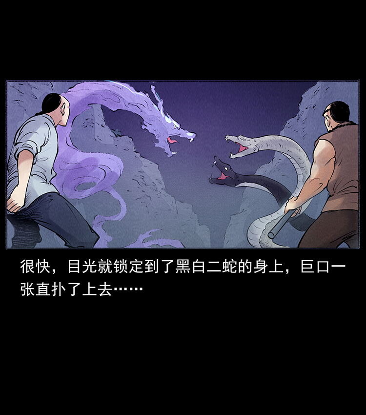 外传 洛生传7 黑白双蛇85