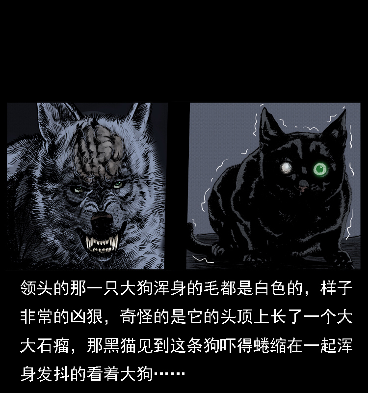 004 猫妖59