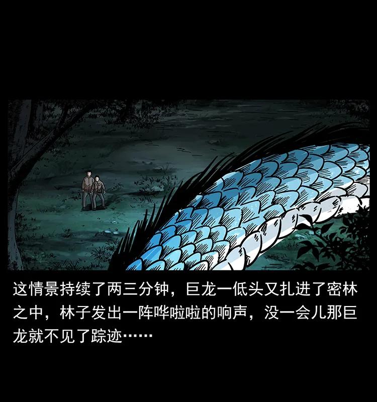 173 踏入龙家39