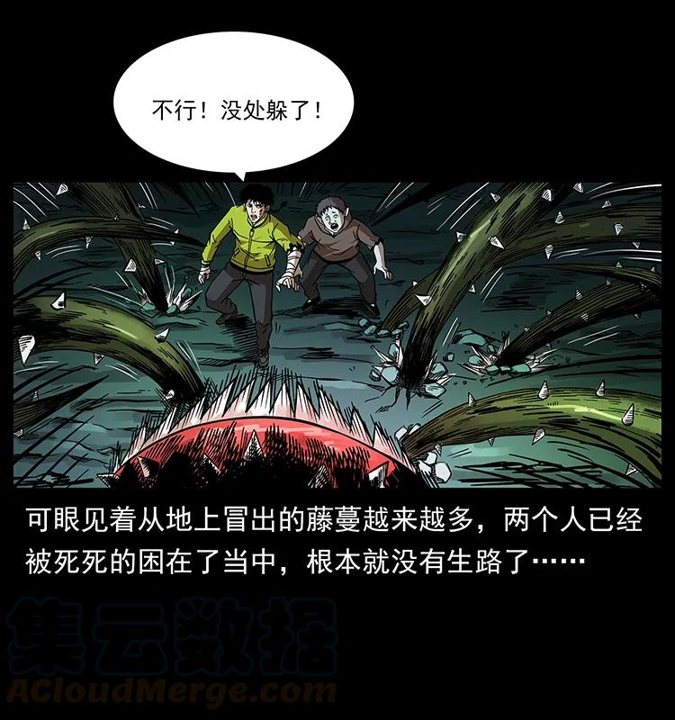 193 草蛊婆40
