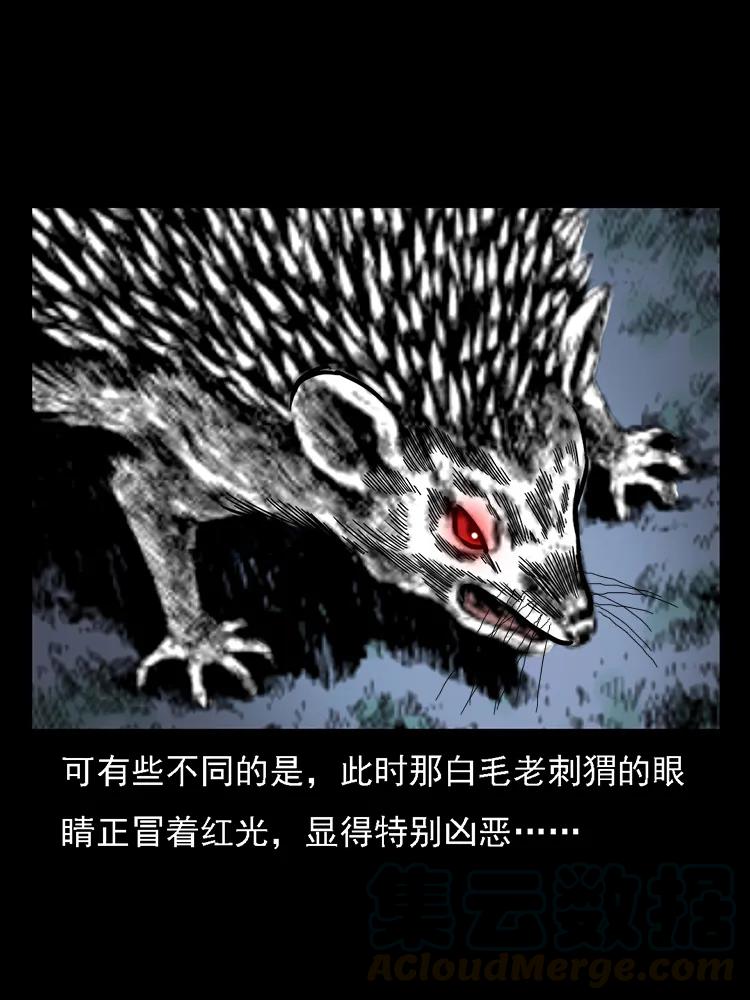 番外2 之保家白仙72