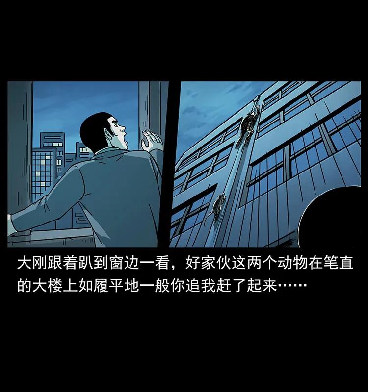 228 凶兽81
