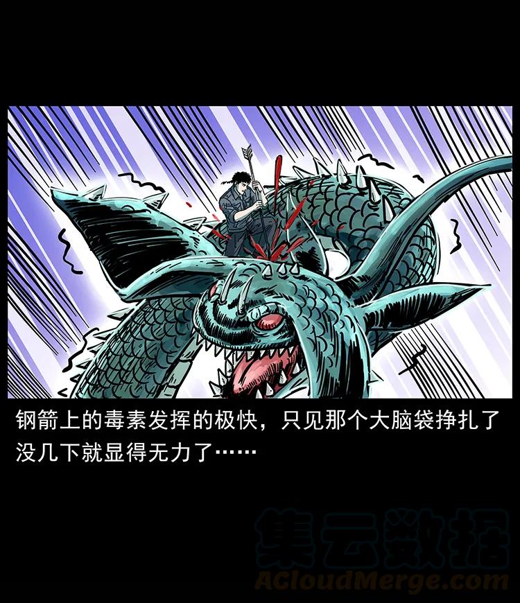 241 斗阎王84