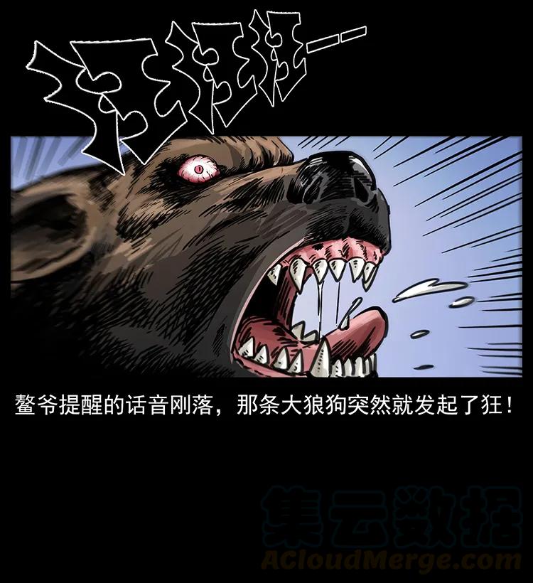 258 身后的危机36