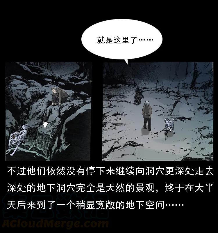 082 鬼桃树20